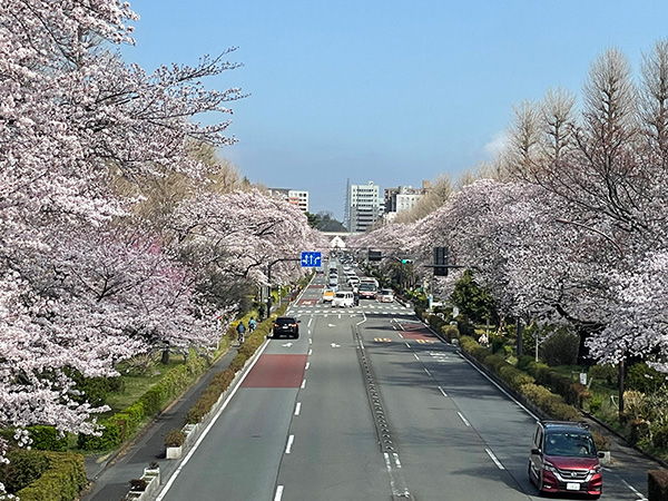 国立市から相模原市でお引越しご利用のS様